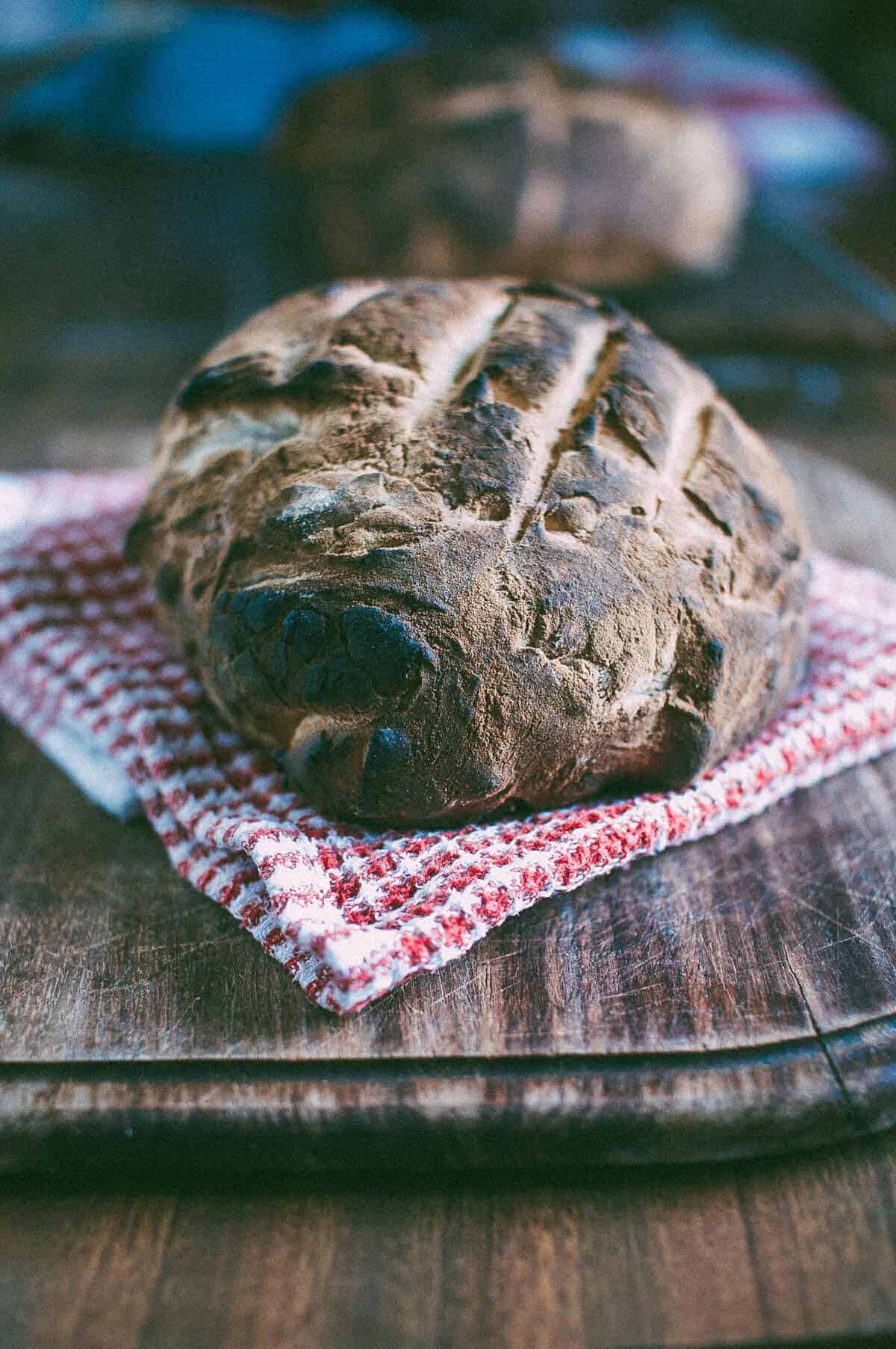 cooking with an earth oven