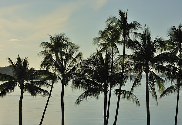 Koh Samui Thailand