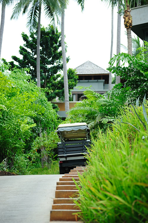 using golf buggies to get around Four seasons Resort Koh Samui