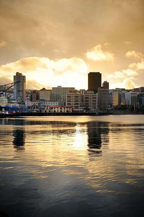 Wellington harbour New Zealand