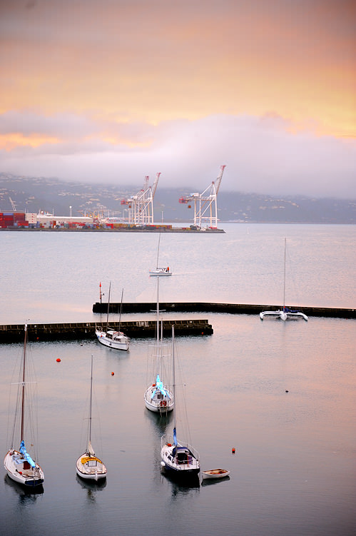 Wellington Harbour New Zealand