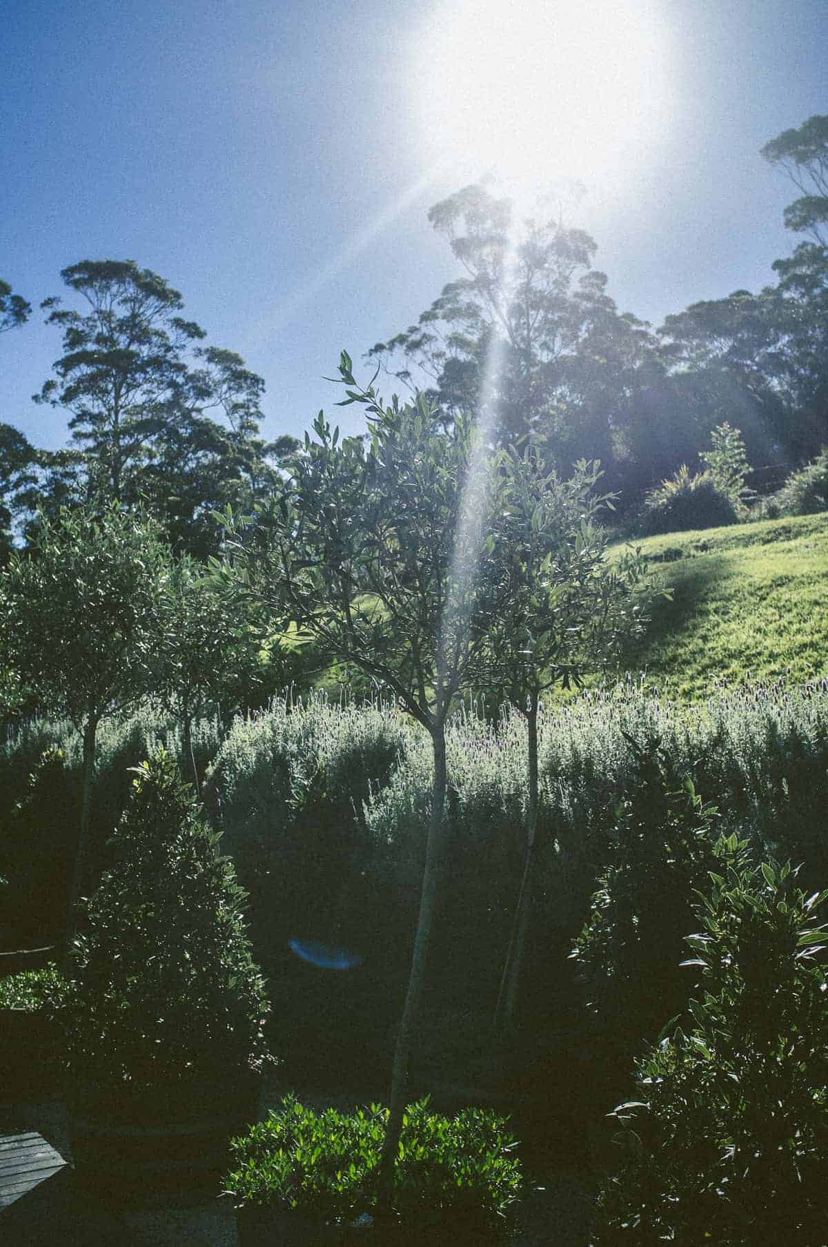 South Coast NSW