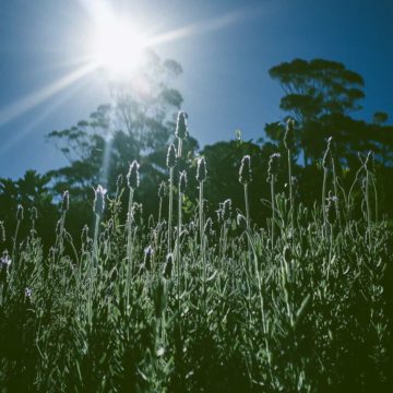 South Coast NSW