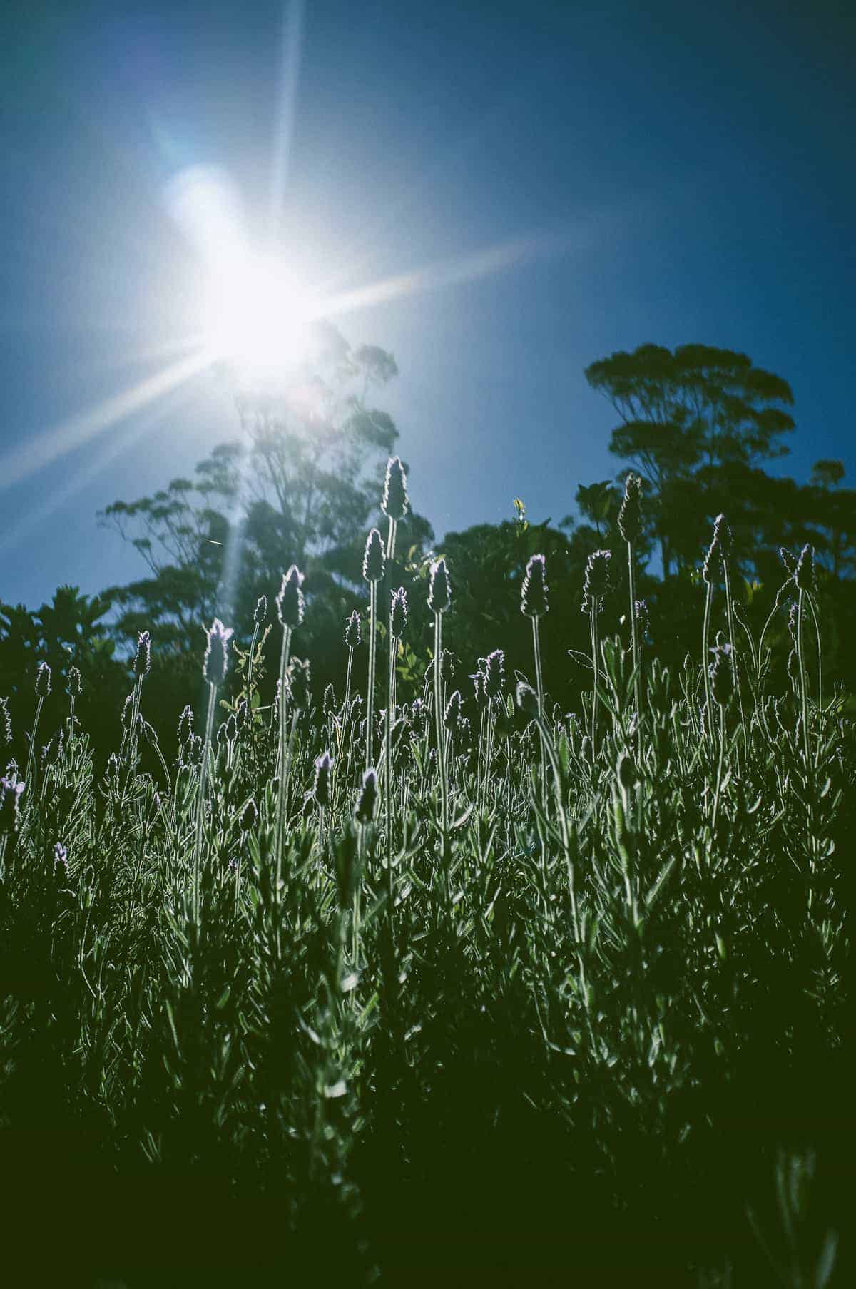 South Coast NSW