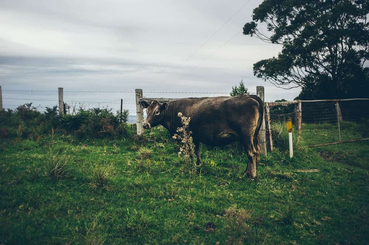 South Coast NSW