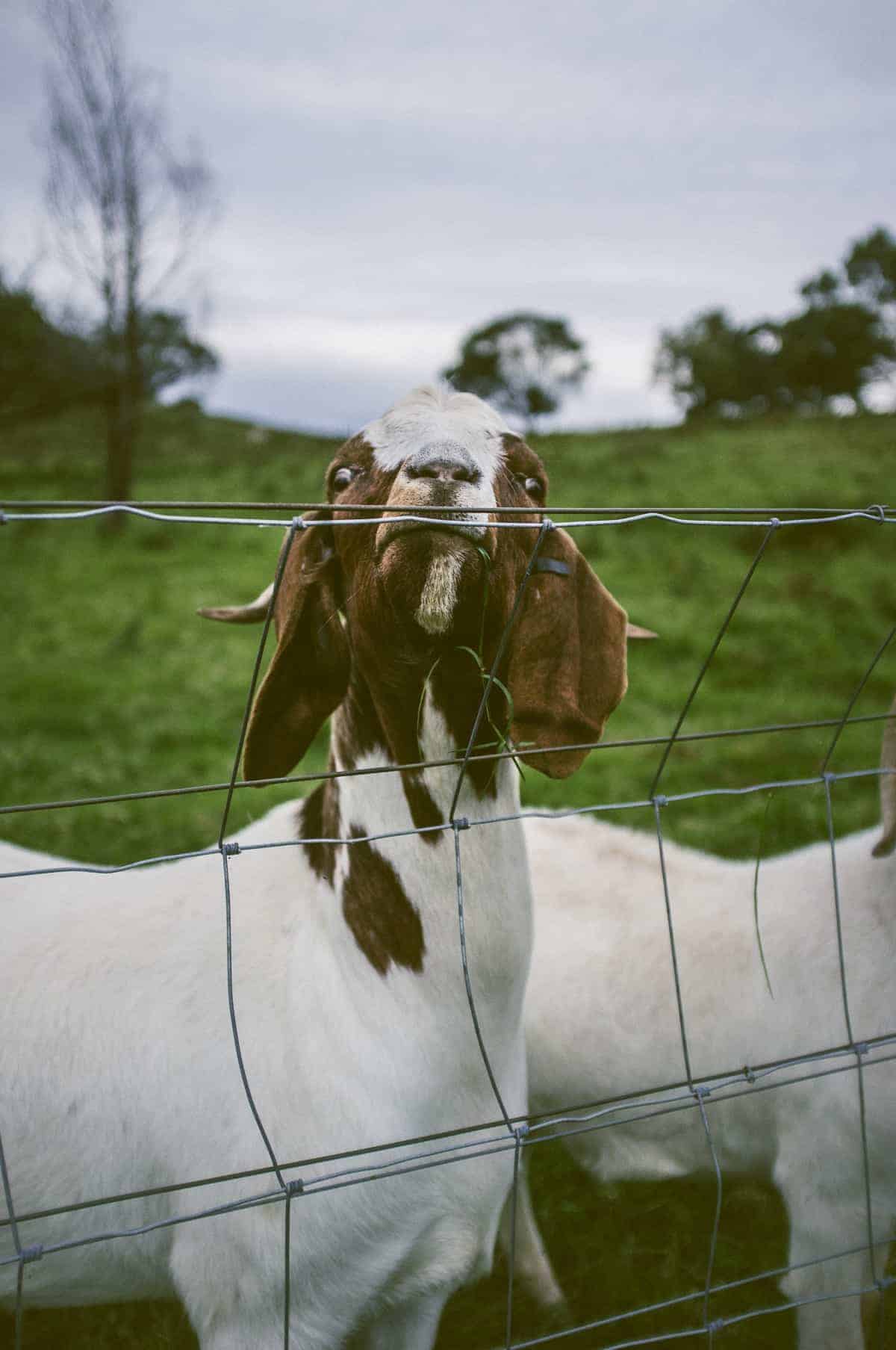 South Coast NSW