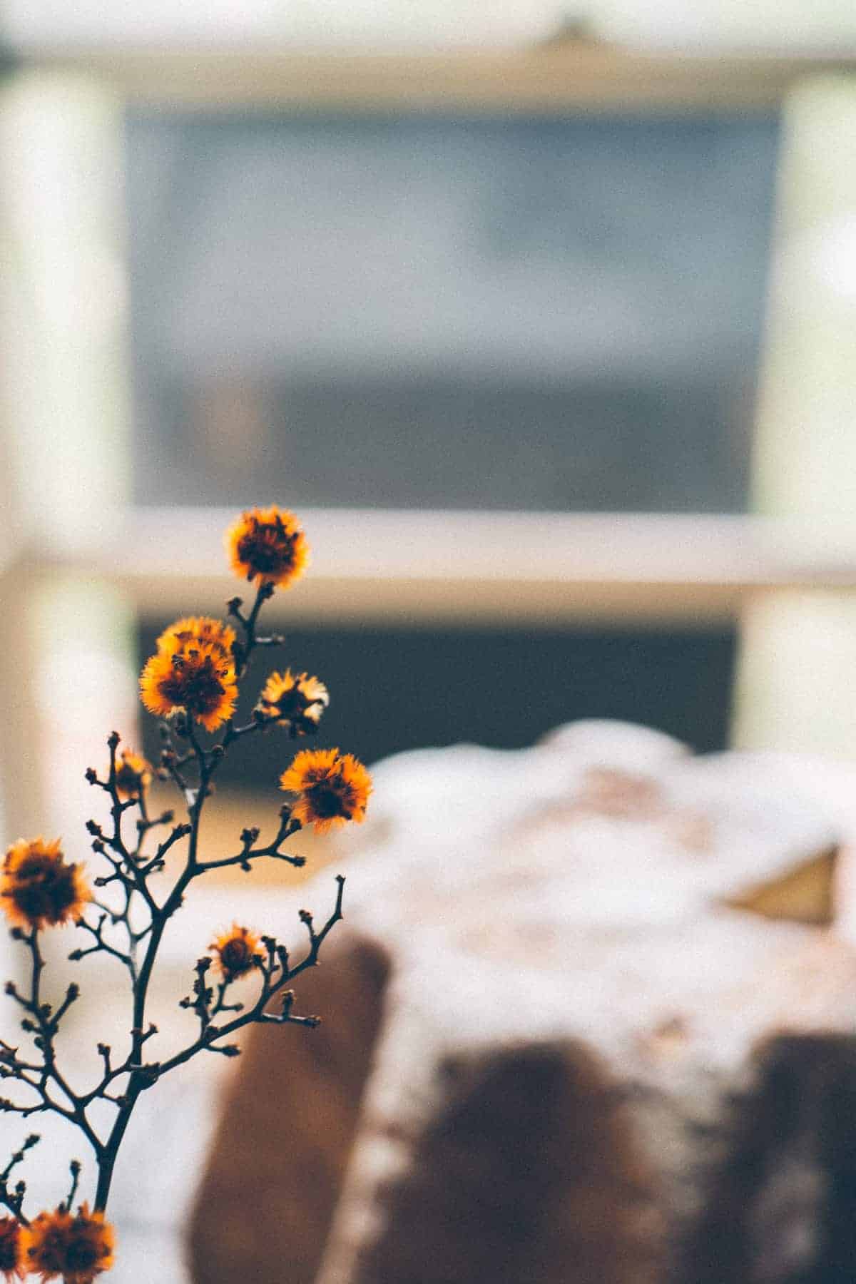 pandoro filled with ice cream