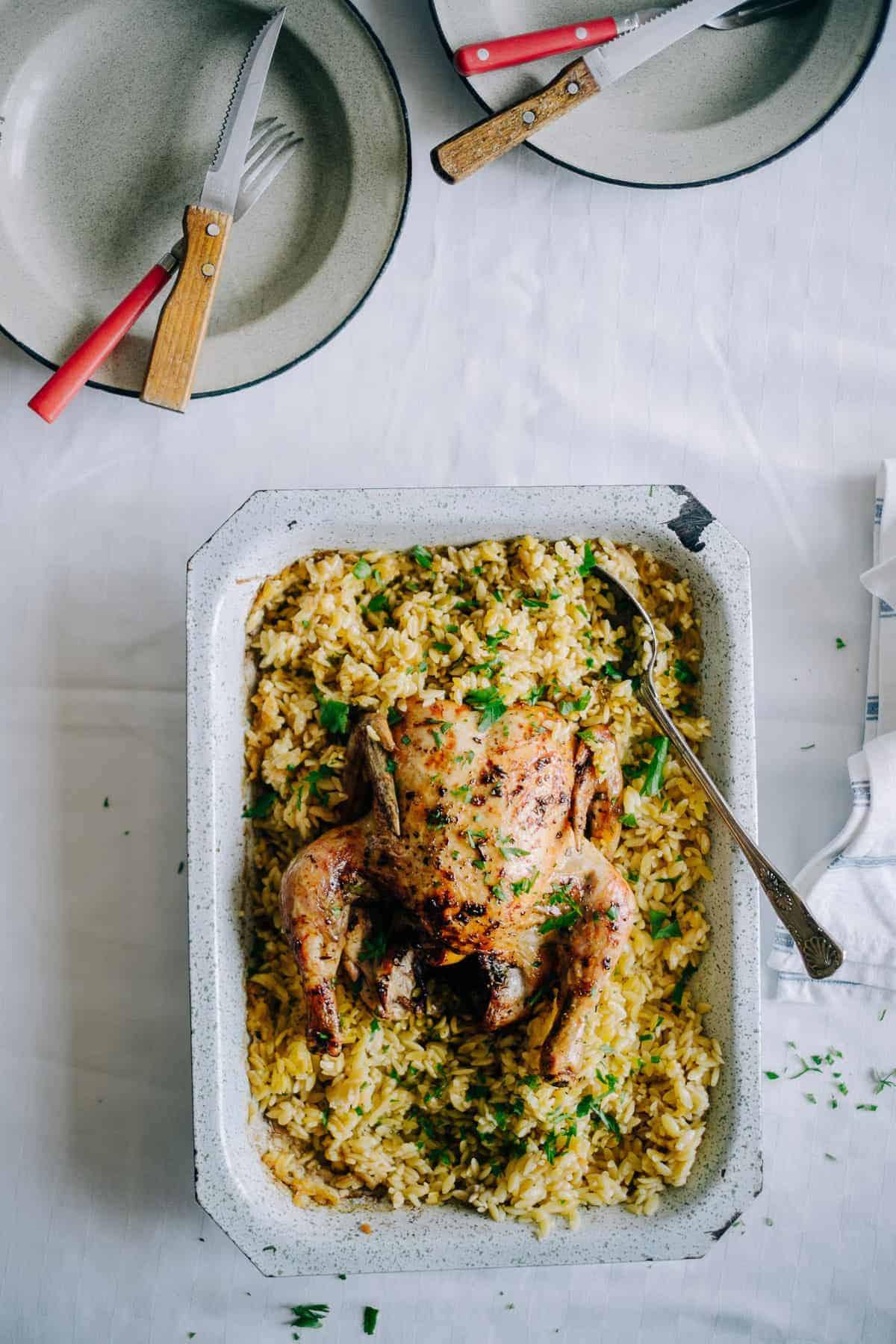 chicken with orzo