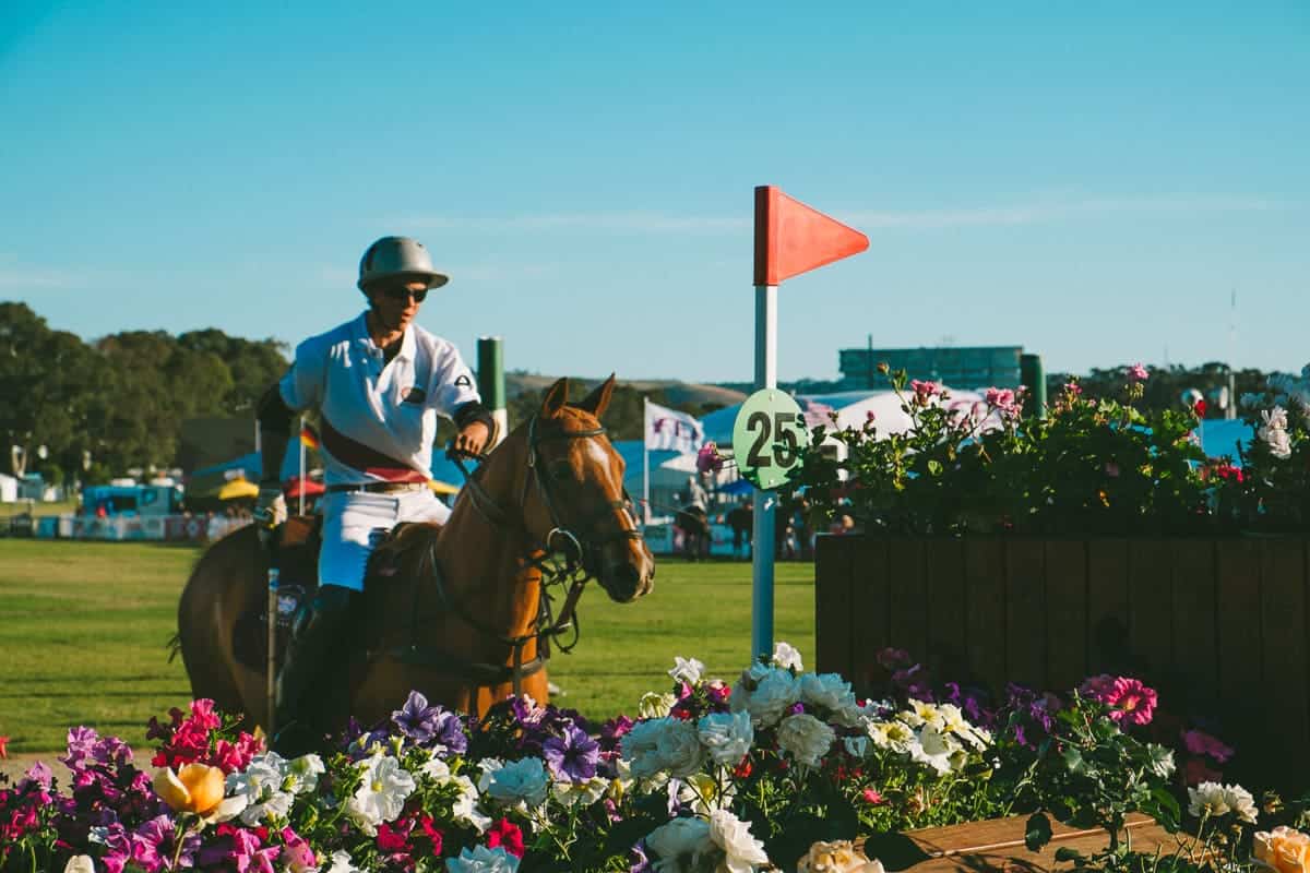 polo match Adelaide