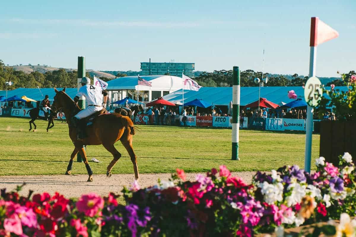 3 day Polo match Adelaide